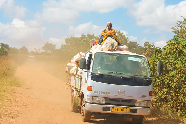 Malawi Cheese